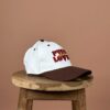 Pizza lover cap