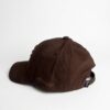 Gemini_Generated_Image_pwqhsupwqhsupwqh Regal Brown Logo